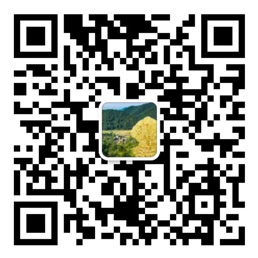 55世纪计划网站